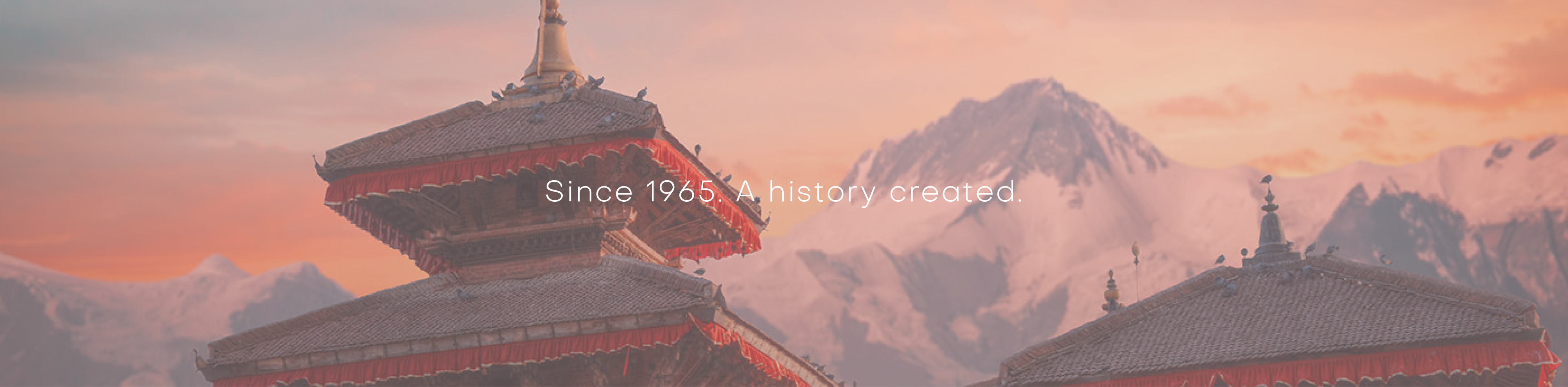 Everest Group of companies since 1965.